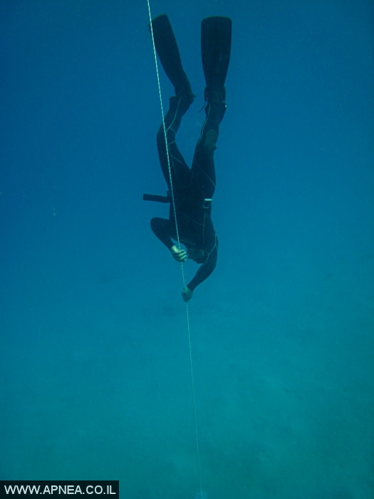    - APNEA -  , , ,   - 015