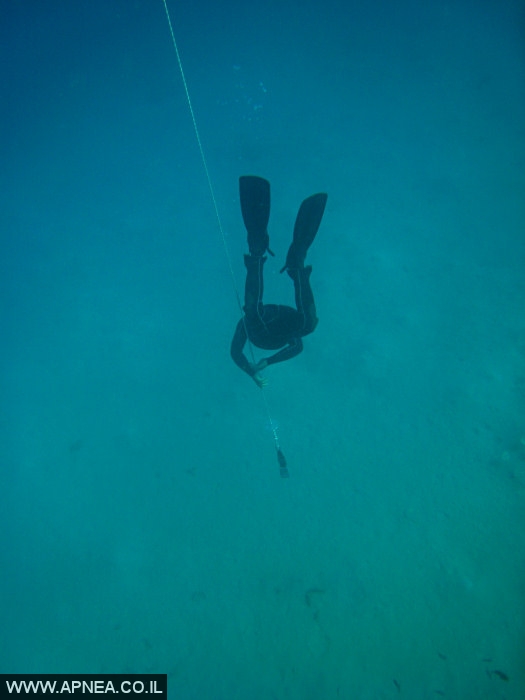    - APNEA -  , , ,   - 016