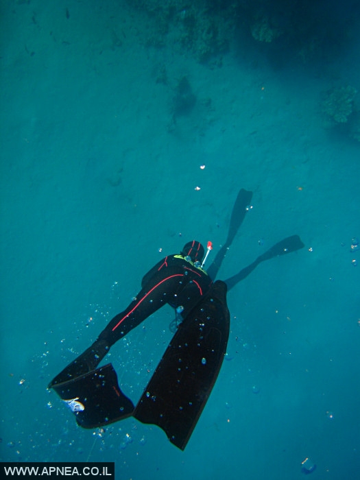    - APNEA -  , , ,   - 021