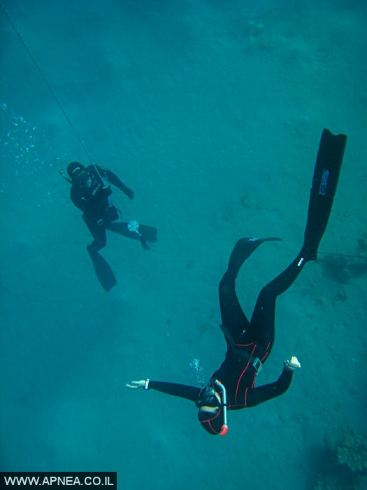    - APNEA -  , , ,   - 022