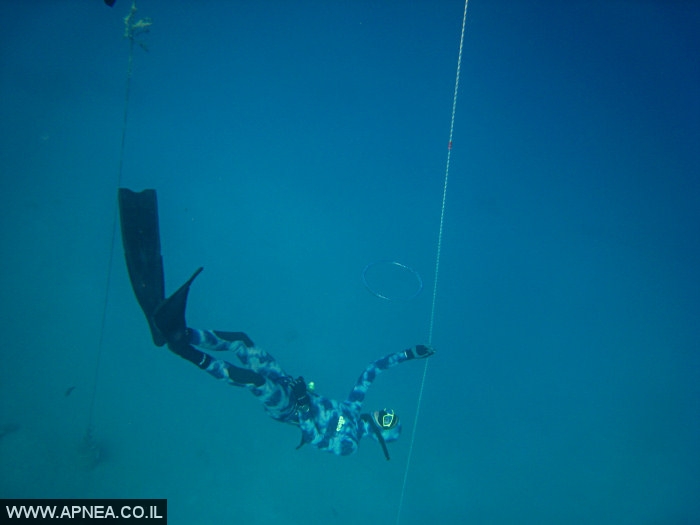    - APNEA -  , , ,   - 023