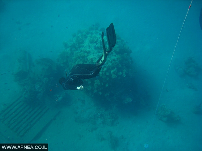    - APNEA -  , , ,   - 024