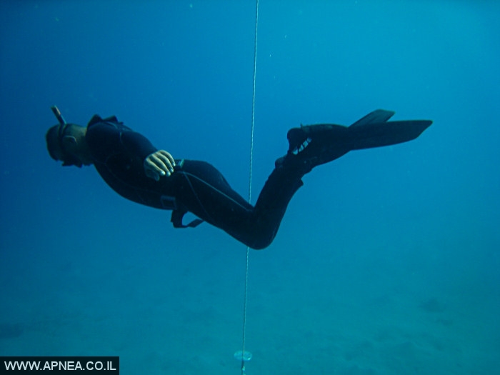    - APNEA -  , , ,   - 003