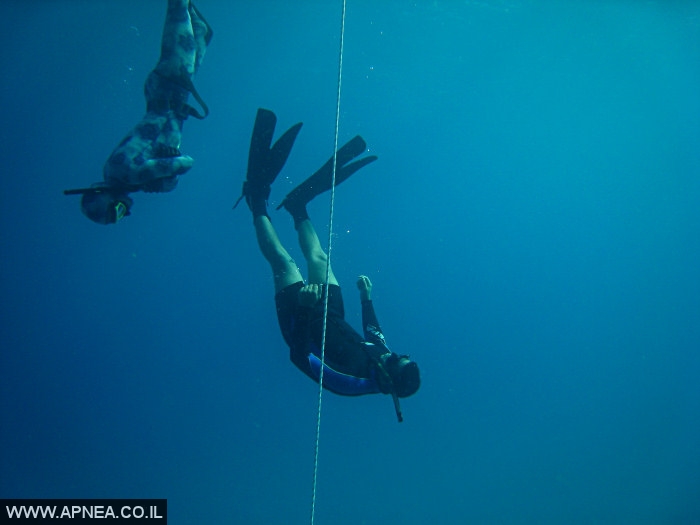    - APNEA -  , , ,   - 004
