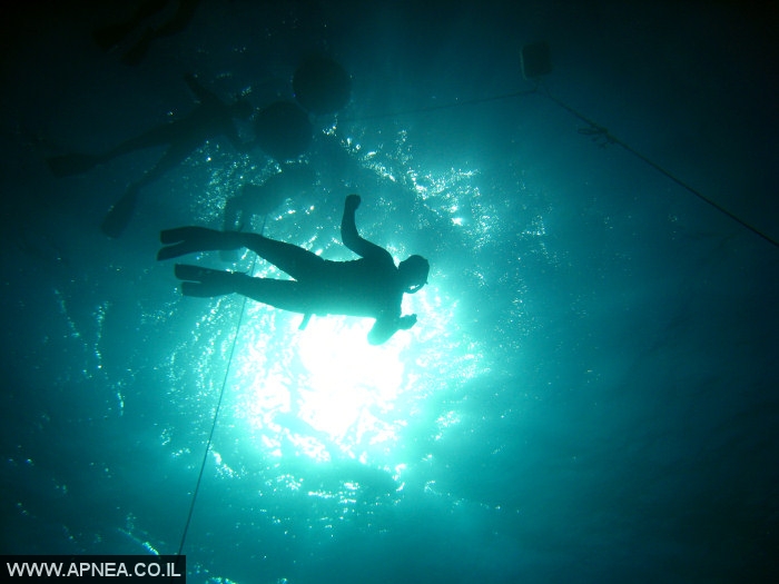    - APNEA -  , , ,   - 009