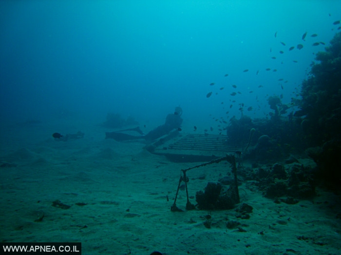    - APNEA -  , , ,   - 010