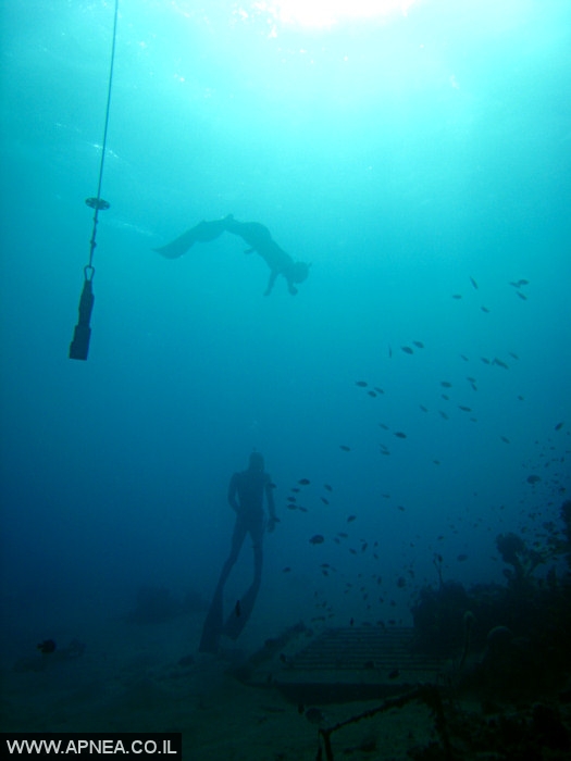    - APNEA -  , , ,   - 011