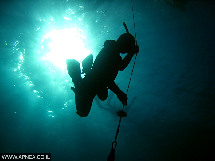    - APNEA -  , , ,   - 012