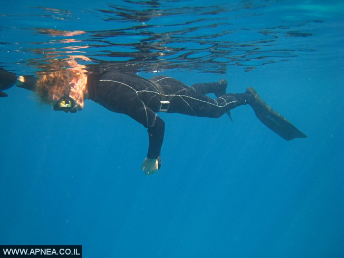    - APNEA -  ,   - 008