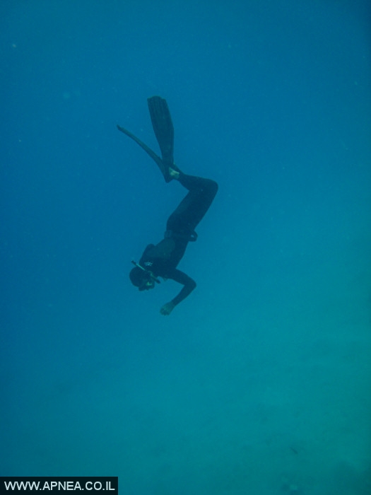    - APNEA -   - 007
