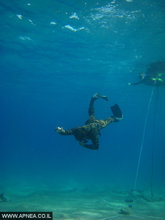    - APNEA -  , ,   - 003