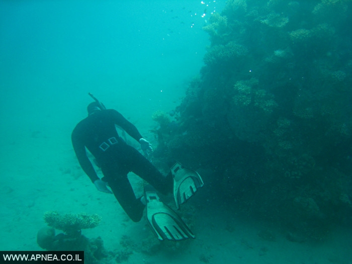    - APNEA -  , ,   - 007