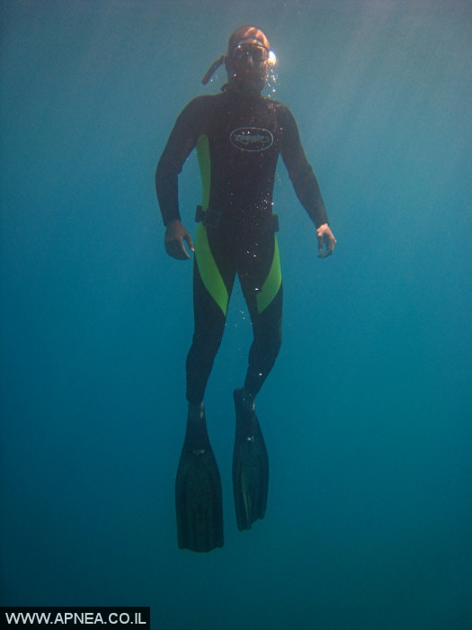    - APNEA -  , ,   - 008
