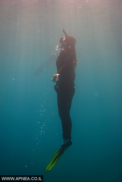    - APNEA -  , ,   - 023