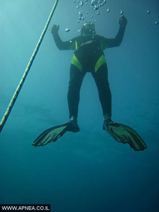    - APNEA -  , ,   - 007