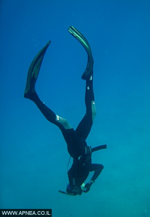    - APNEA -  ,   - 008
