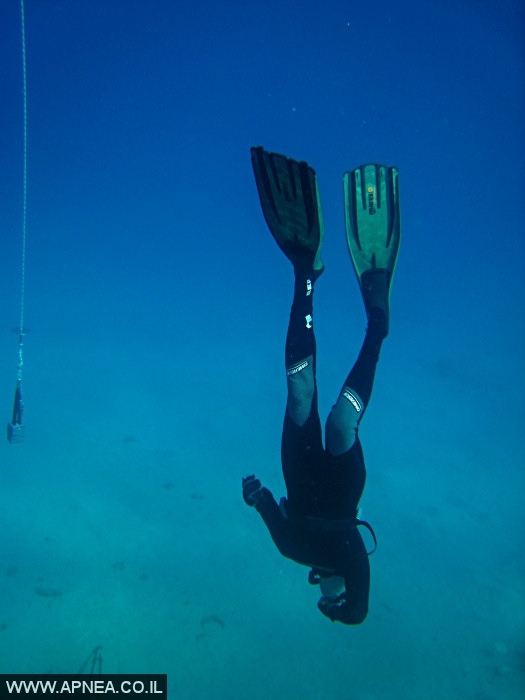    - APNEA -  ,   - 009