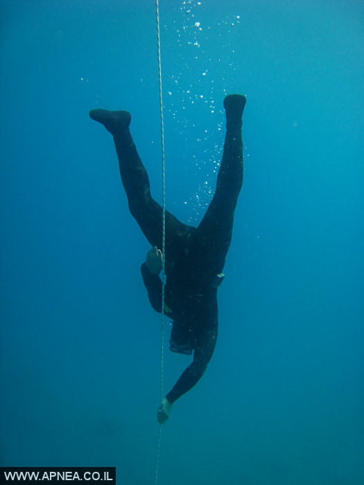    - APNEA -   - 024
