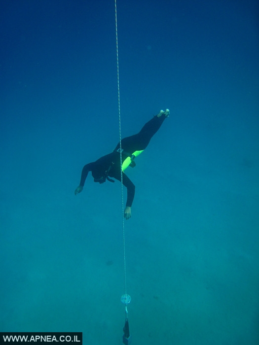    - APNEA -  , ,   - 009