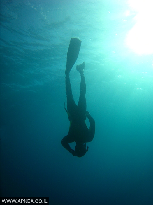    - APNEA -   - 011