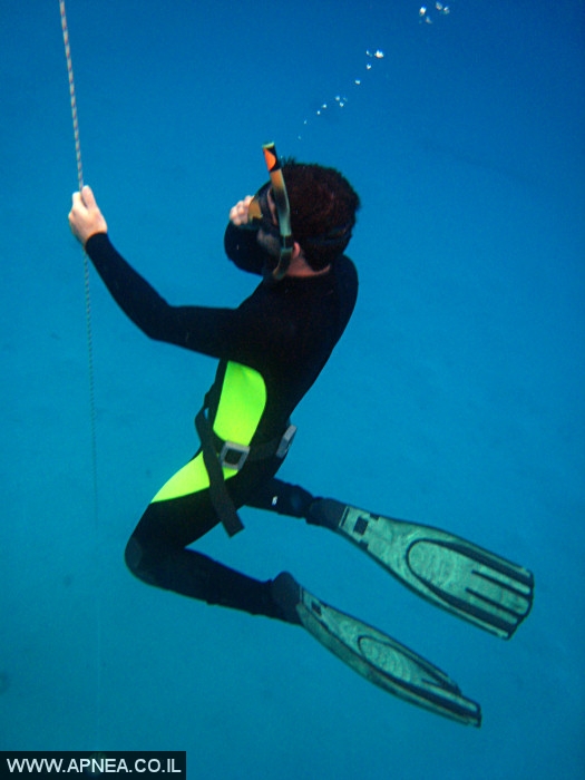    - APNEA -  , , , ,   - 009