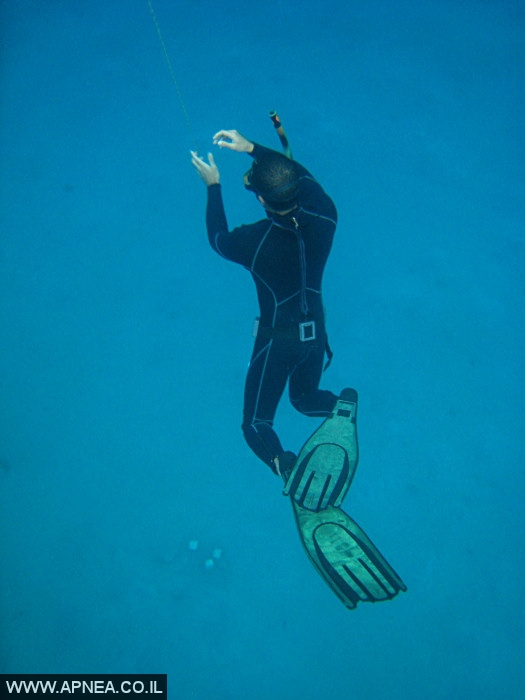    - APNEA -  , , , ,   - 010