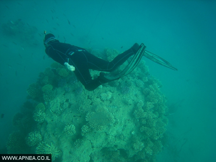    - APNEA -  ,   - 009