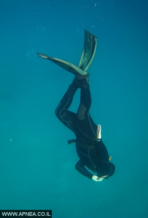    - APNEA -  ,   - 004