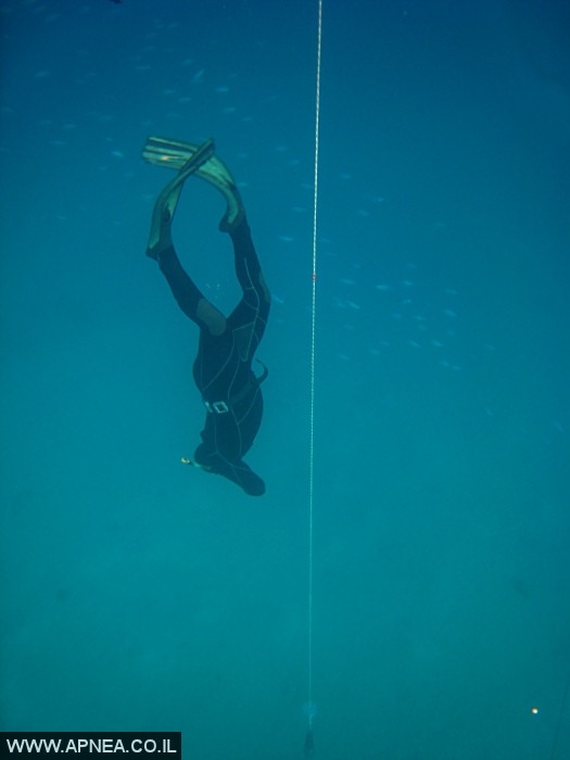    - APNEA -  ,   - 014