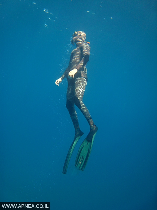    - APNEA -  ,   - 015