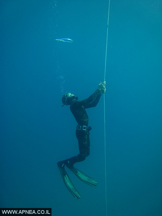    - APNEA -  ,   - 001