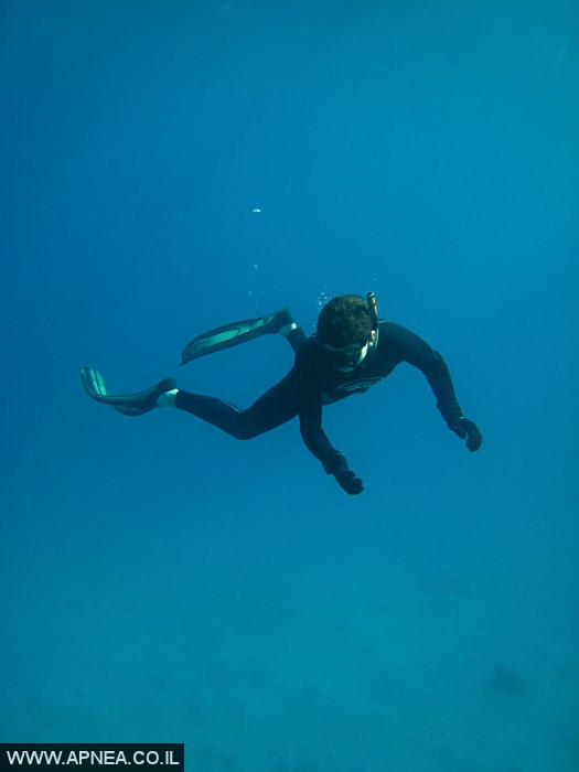    - APNEA -  ,   - 008