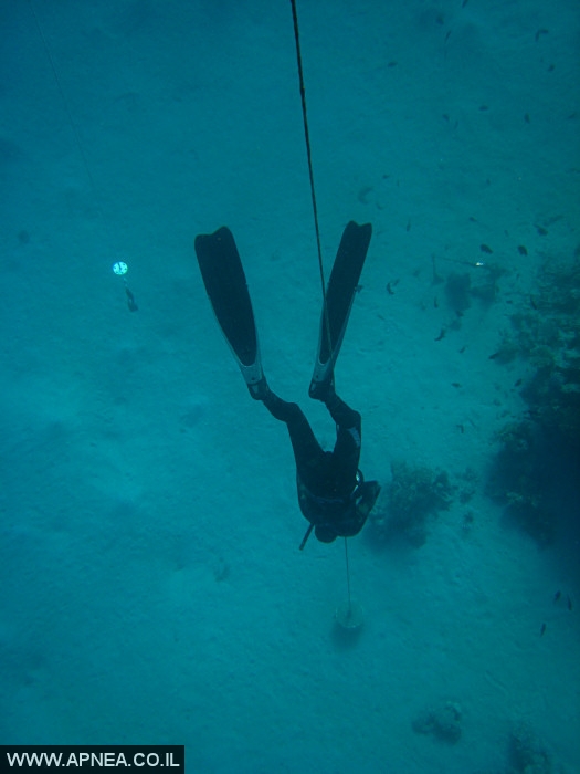    - APNEA -  ,   - 009