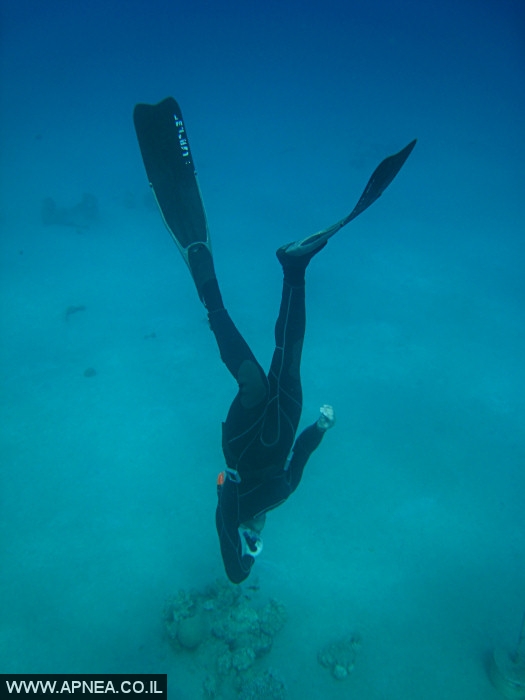    - APNEA -  , ,   - 005