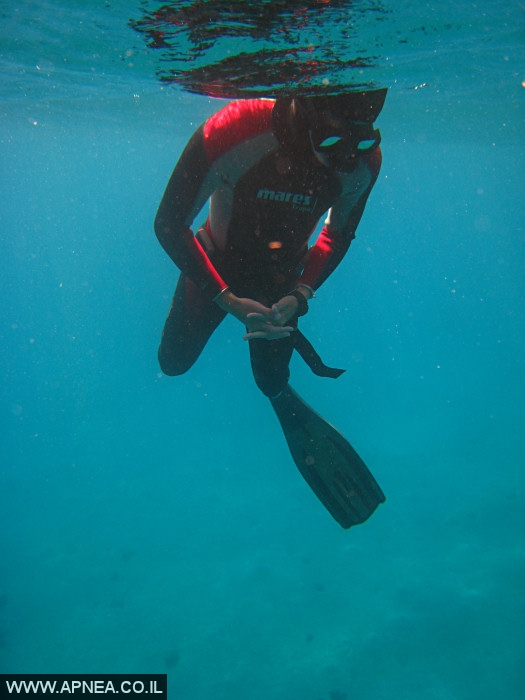    - APNEA -  , ,   - 001