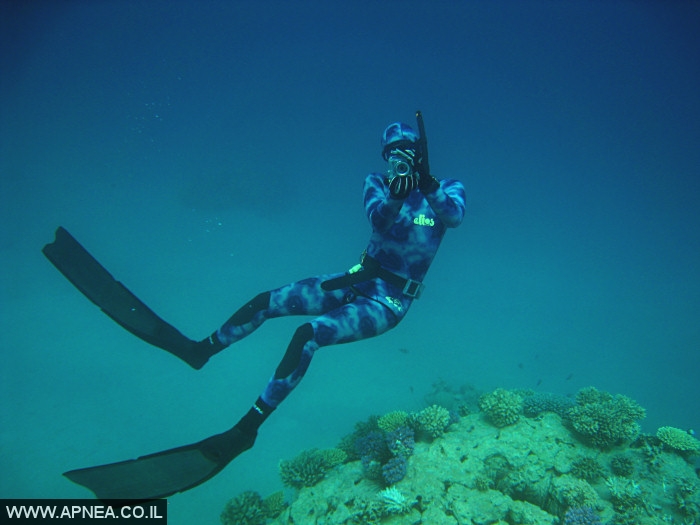    - APNEA - , , ,   - 007