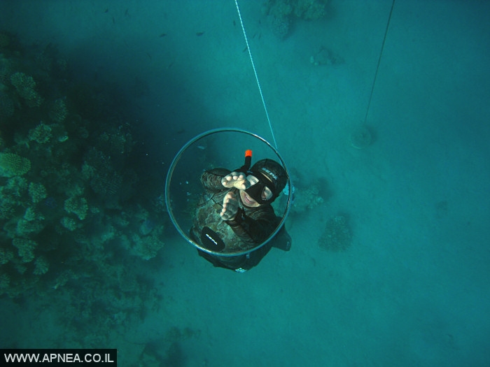    - APNEA - , , ,   - 009