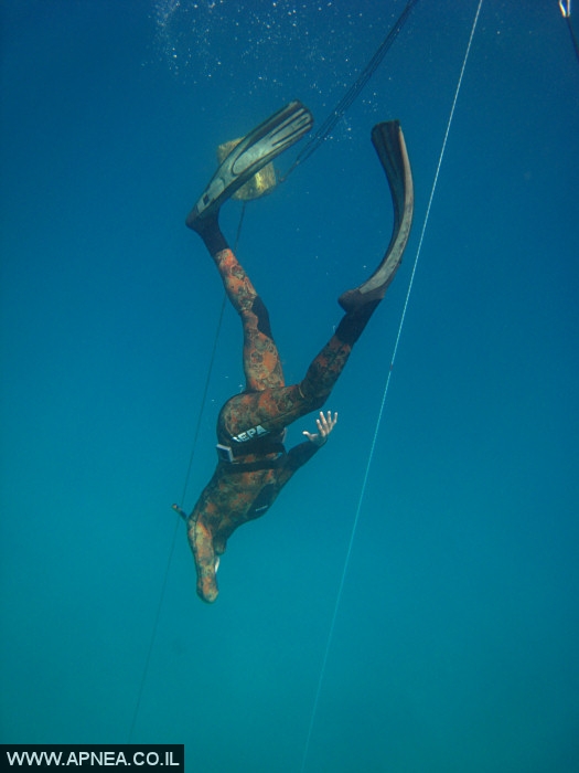    - APNEA - , , ,   - 017