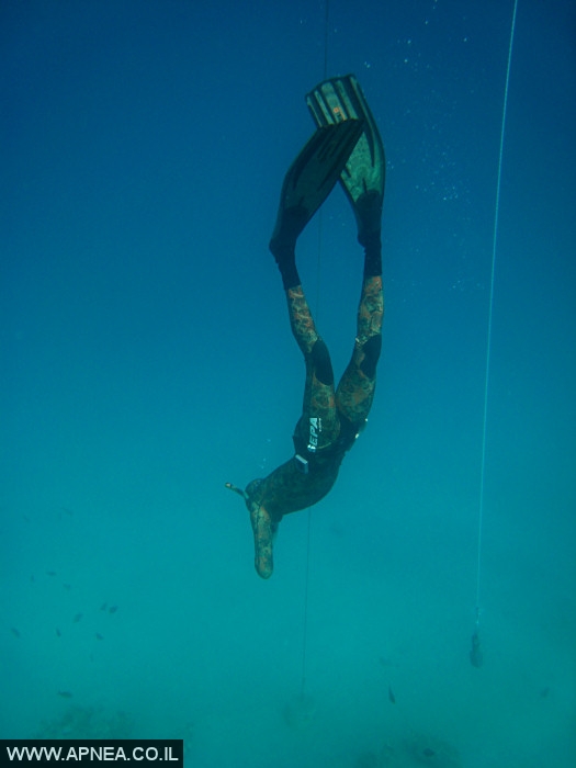    - APNEA - , , ,   - 018