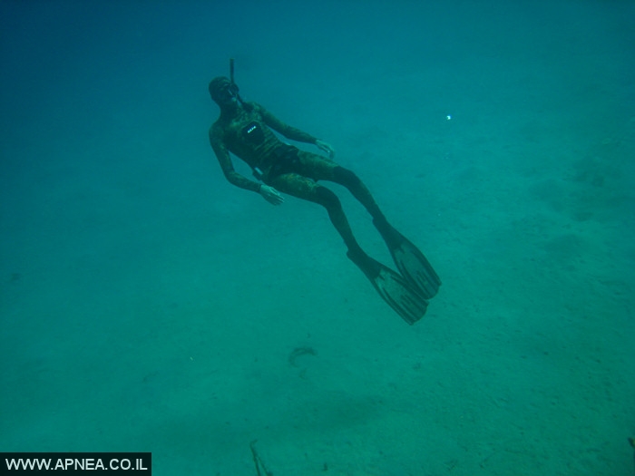    - APNEA - , , ,   - 024