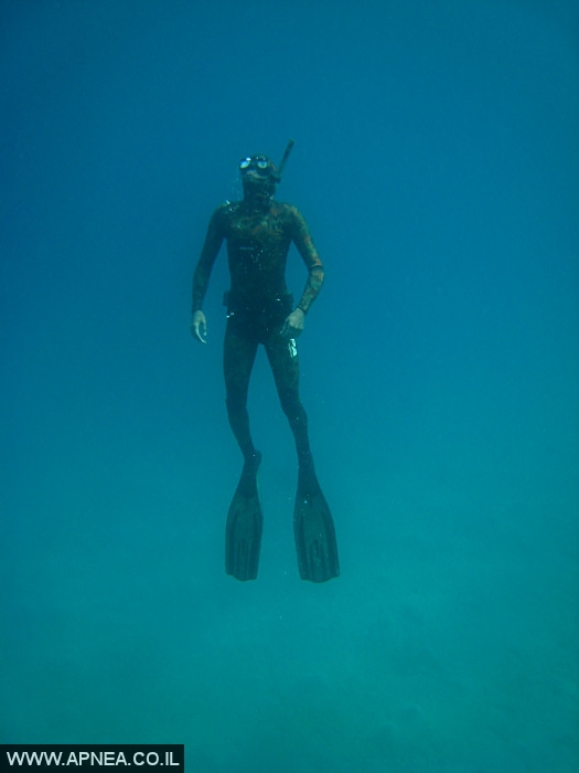    - APNEA - , , ,   - 025