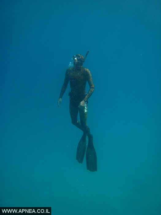    - APNEA - , , ,   - 001