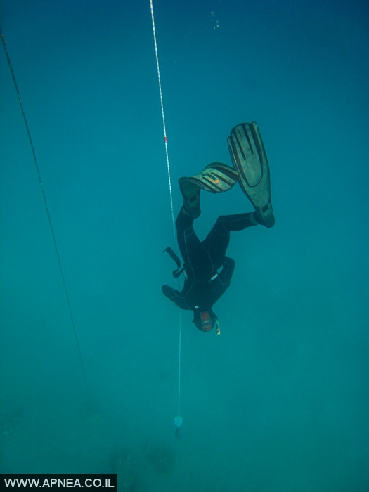    - APNEA - , , ,   - 005
