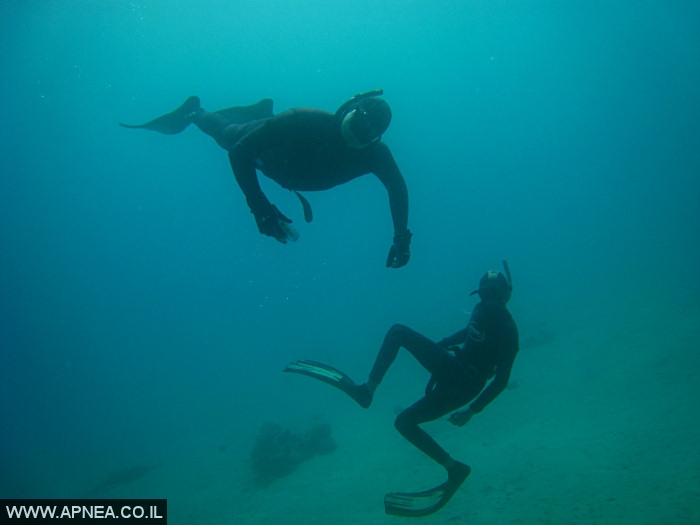    - APNEA - , , ,   - 006