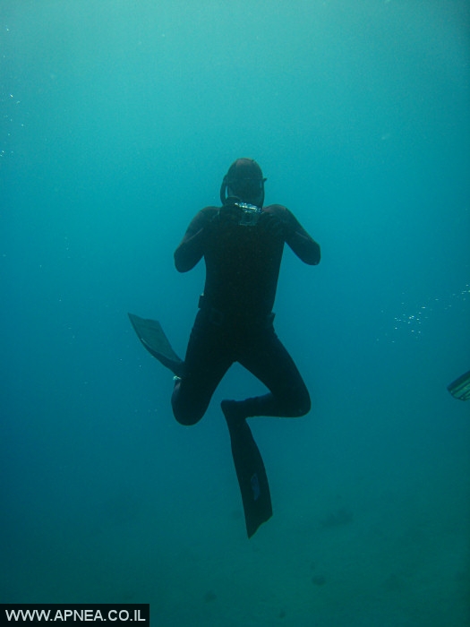    - APNEA - , , ,   - 007