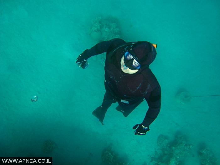    - APNEA - , , ,   - 009
