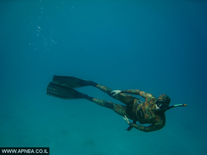    - APNEA - , , ,   - 013