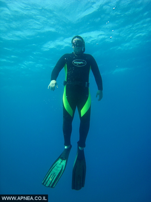    - APNEA -  , ,   - 009