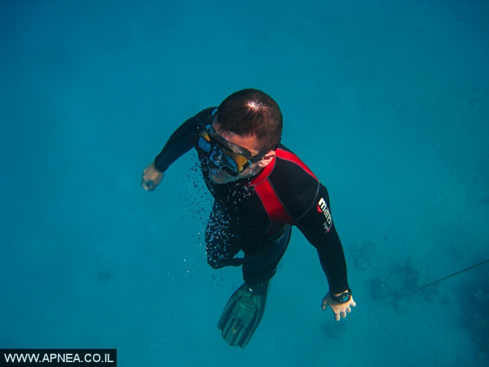    - APNEA -  , , , ,   - 018