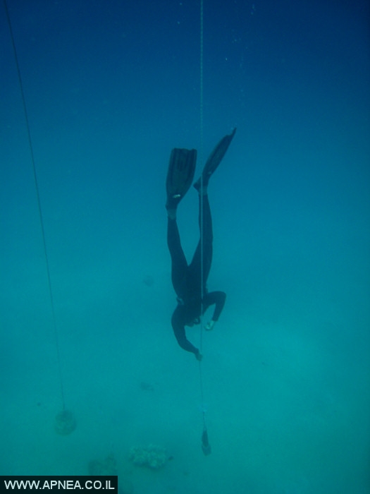    - APNEA -   - 002